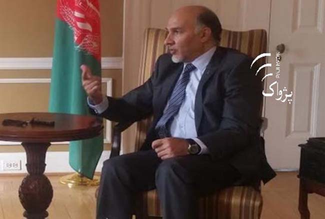6,100 Foreign Terrorist Active in Afghanistan: Saikal